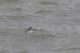 20211022_Alk_Den Helder